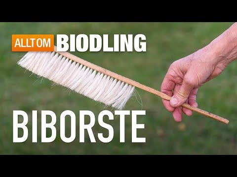 Biborste  - Biredskap - Biodling