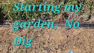 The start of my no dig spring garden.