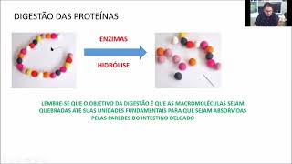 Nutrição de não ruminantes: Estrutura, digestão e metabolismo de proteínas - parte 01