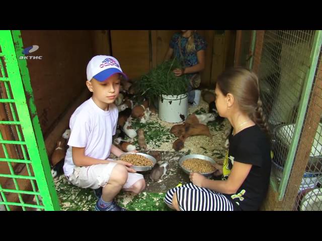 Летний рацион ввели для питомцев зоопарка