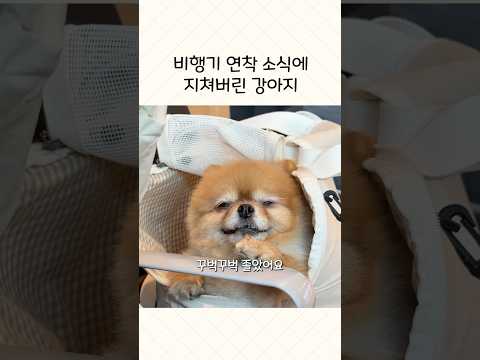 비행기 연착은 너무 힘들어요😇