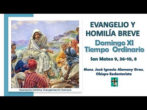 Miniatura del video