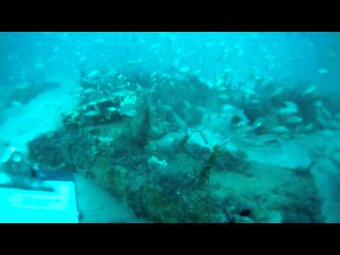 Artificial reef dive, Southwest Florida