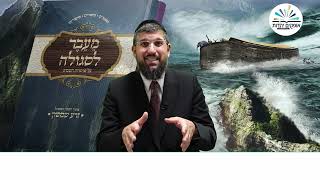 סודות מהתיבה | פרשת נח תשפ"ו - הרב אליהו עמר  https://www.ofakimbooks.co.il/ (הרב אליהו עמר) - התמונה מוצגת ישירות מתוך אתר האינטרנט יוטיוב. זכויות היוצרים בתמונה שייכות ליוצרה. קישור קרדיט למקור התוכן נמצא בתוך דף הסרטון