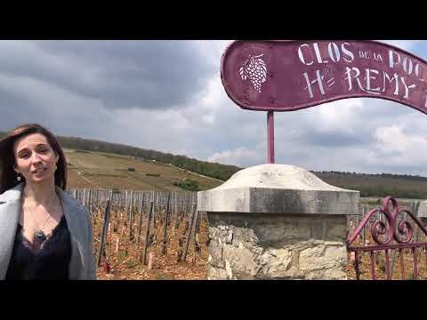 Grand Crus of Morey-Saint-Denis - Napa Valley Wine Academy