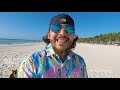 Indie Artist Showcase By Mylo The Cat