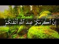 يا أيها الناس إنا خلقناكم من ذكر وأنثى وجعلناكم شعوبا وقبائل لتعارفوا إن أكرمكم عند الله أتقاكم mp3 يا أيها الناس إنا خلقناكم من ذكر وأنثى وجعلناكم شعوبا وقبائل لتعارفوا إن أكرمكم عند الله أتقاكم mp3