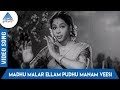 Kalyanam Panniyum Brahmachari Tamil Movie Songs Madhu Malar Ellam Pudhu Video Song TG Lingappa