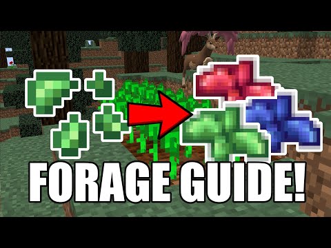 How to Forage in Pixelmon!