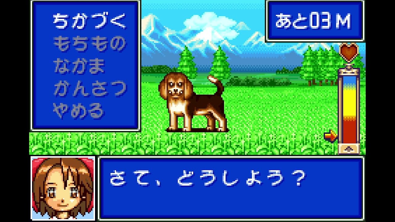 Gameplay Video