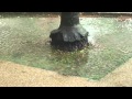 Rain Video Vijay