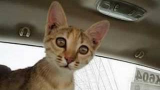 JB Love Story:I'll Never Forget My 1st Concert!!(ch.6)