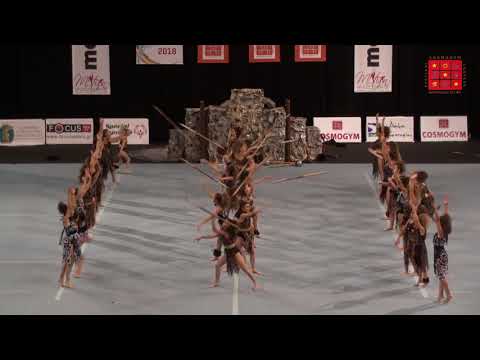 The rise of homo sapiens...Cosmogym 2018 Π.Σ.ΡΑΦΗΝΑΣ ΠΙΚΕΡΜΙΟΥ