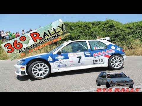 36° Rally Alta Val di Cecina 2014
