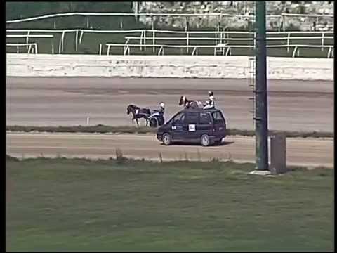 Trotto 06/04/2015 -  corsa pony