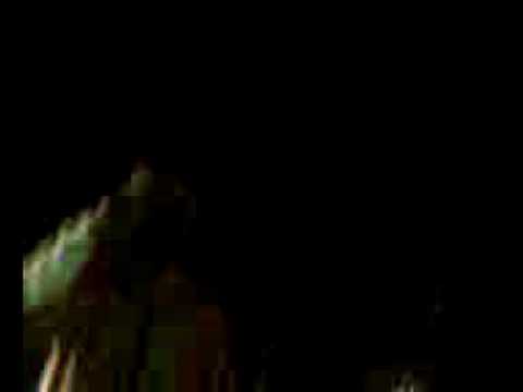 Fidel Nadal en Circus