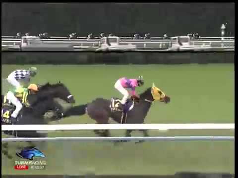2013.10.20 Kikuka Sho(Japanese St. Leger) - Epiphaneia