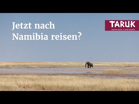 Der Etosha National Park fast menschenleer! Die beste Reisezeit für Namibia? Reisevlog – Teil 4/4