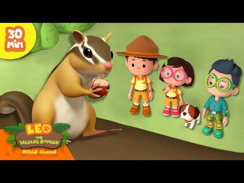 Witness21 Editor  2024 09 26