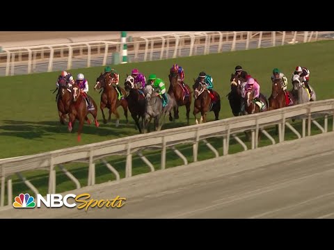 2023/11/5(日) ブリーダーズカップターフスプリント(G1)
