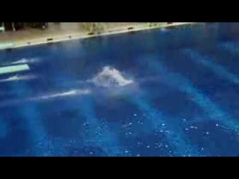 Haley Ishimatsu 107B