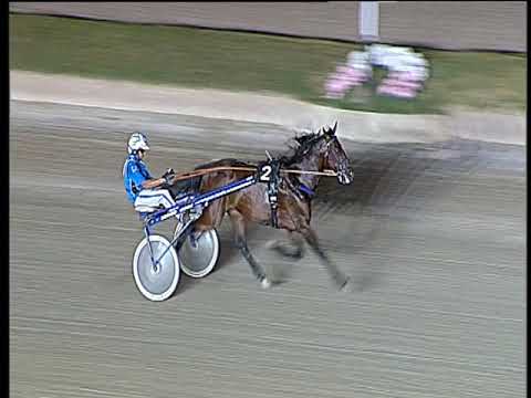 Trotto 06/07/2019 - 3ª prova di qualifica