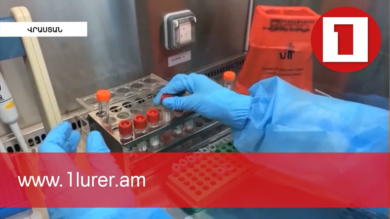 Իրակլի Ղարիբաշվիլին բացառել է Վրաստանում նոր լոքդաունի հաստատումը