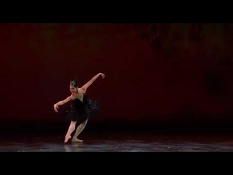 SWAN LAKE - Odile Variation (Amanda Gomes)