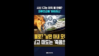 쥐 배설물로? 남편 아내 모두 사망..시신 싣고 떠도는 '죽음의 항해'  / SBS / #shorts