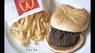 McDonald's Happy Meal resists decomposition for six months
