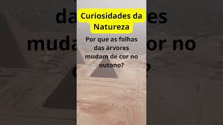 Curiosidade da Natureza.  #fe