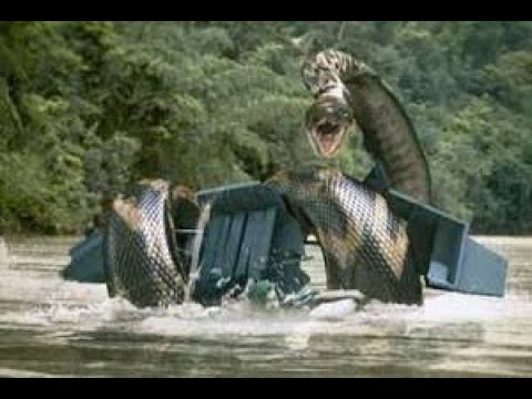 Boa: A Cobra Assassina - Filme Completo Dublado HD