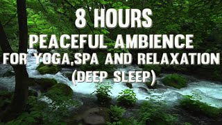 NO ADS - 8 Hours Relaxing Music With Water Sounds | Peaceful Ambience For Yoga,Spa and Relaxation.