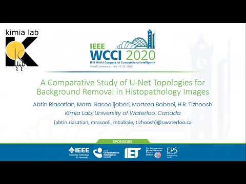 A Comparative Study of U-Net Topologies for Background Removal in Histopathology Images - IJCNN 2020