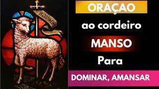 Oração ao cordeiro Manso para DOMINAR, AMANSAR 🐑 #amor