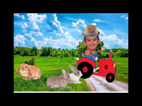 VIDEO PRESENTACIÓ P3A  CLASSE DELS CONILLS CURS 2017 18