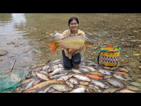 Huong uses her excellent fishing skills to catch huge fish to sell and earn a living. #fshingtrap