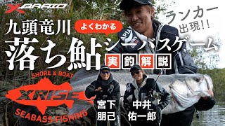 九頭竜川「よくわかる」落ち鮎シーバスゲーム【XRISE vol.1まとめ】