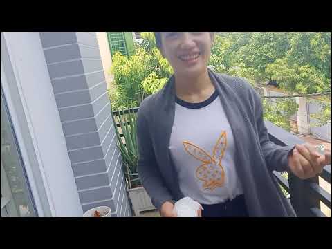 Chbar Ampov Villa | Villa | Modern Villa | Chbar Ampov Villa