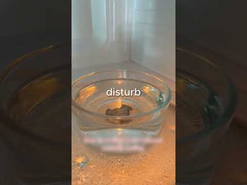 Why is it dangerous to heat liquids in the microwave?🤔