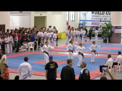 Norway - Team Pattern Hwa Rang - ITF World Cup Jamaica