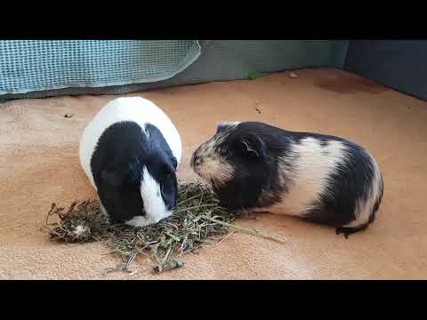 For you who's as special as a flower