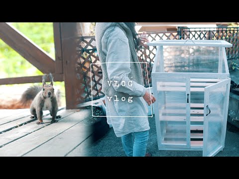 苗木用の小さな温室を作るにはどうすればよいですか？自宅で簡単に再現できるリサイクルアイデア4選！  庭園