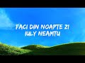 Iuly Neamtu - Faci din noapte zi | Versuri