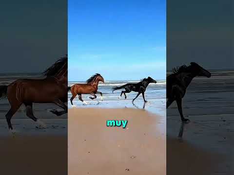 LOS ANIMALES MÁS GRACIOSOS DEL MUNDO!! 😂