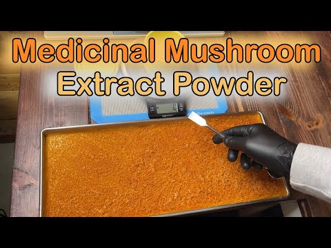 How to Make Medicinal Mushroom Dual Extract Powder