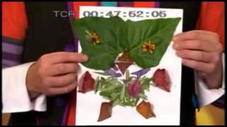 giggle &amp; hoot Darshan.wmv