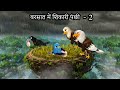 बारिश में शिकारी पंछी Part 2 Barish Ki Kahani HINDI KAHANIYA HIN
