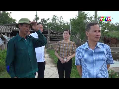 Các đồng chí lãnh đạo tỉnh về thăm mô hình, dự án PTKT tại huyện Vũ Thư