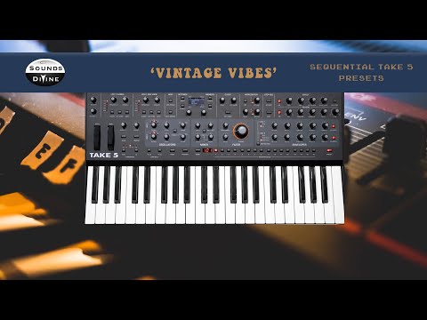 SoundsDivine 'Vintage Vibes' - Sequential Take 5 Presets image 2
